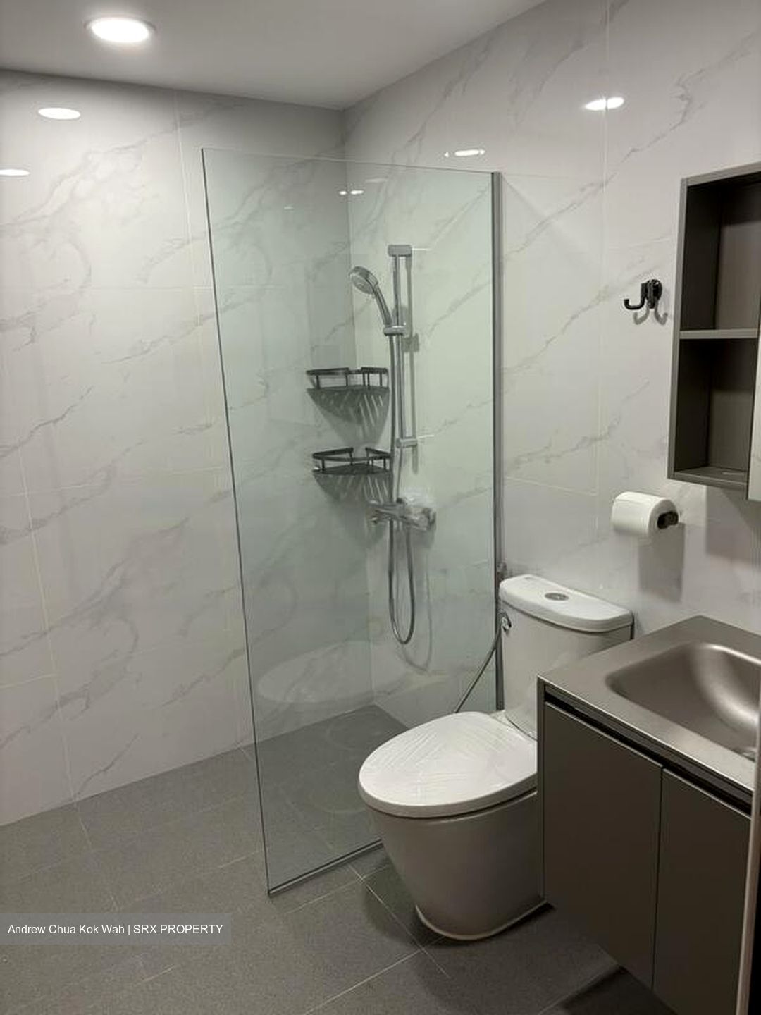Valley Park (D10), Condominium #458061211